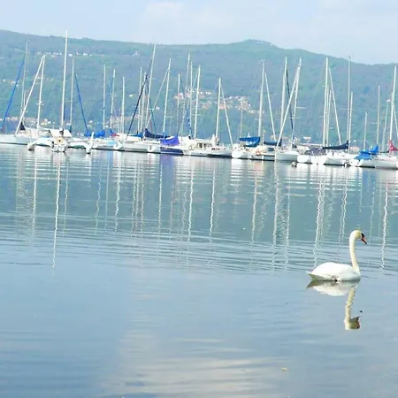 The Gulf - Maggiore