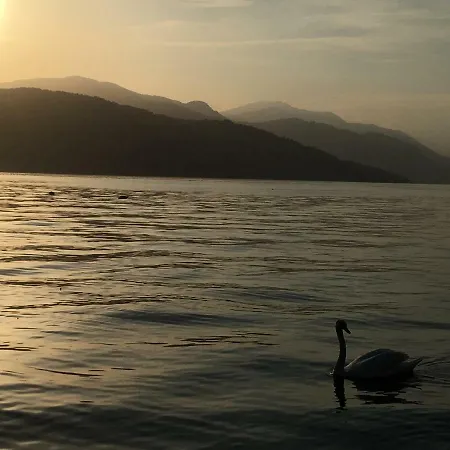 The Gulf - Maggiore